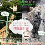 2016年4月24日(日)のスポットガイド