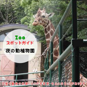 「夜の動植物園」スポットガイド