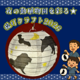動物情報館ZooLab「夜の動植物園を彩る★提灯クラフト2026」