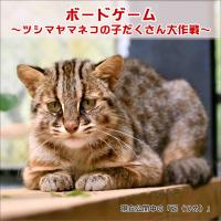 「オリジナルボードゲーム～ツシマヤマネコの子だくさん大作戦～」を開催します