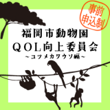 【参加者募集】5月31日(土)6月1日(日)動物情報館教育プログラム 「福岡市動物園QOL向上委員会～コツメカワウソ編～」を開催します(事前申込・先着順)