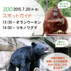 2015年7月20日(月・祝)のスポットガイドは13：30～オランウータン ，14：00～ツキノワグマ