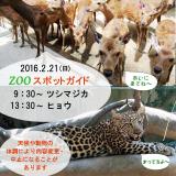 2016年2月21日(日)のスポットガイド