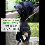 「世界ビントロングの日」「世界マレーグマの日」特別ガイドを開催します