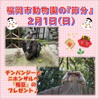 「節分ガイド」を開催！動物たちに福豆をプレゼント♪