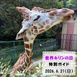 「世界キリンの日」特別ガイドを開催します