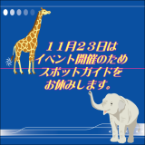 スポットガイドお休みのお知らせ！