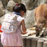 サポーターズデイ『４月のバックヤードガイド』