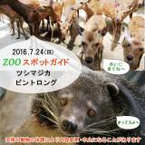 2016年7月24日(日)のスポットガイド
