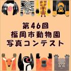 第46回福岡市動物園写真コンテスト作品展示