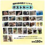 園内ショップで新商品を販売します♪