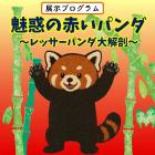 動物情報館ZooLab「魅惑の赤いパンダ～レッサーパンダ大解剖～」