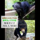 「世界ビントロングの日」「世界マレーグマの日」特別ガイドを開催します