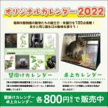 福岡市動物園オリジナル『動物カレンダー2022』 発売！
