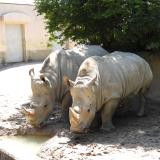 サポーターズデイ「10月のバックヤードガイド」