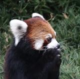 9月10日(土)「夜の動植物園」スポットガイド