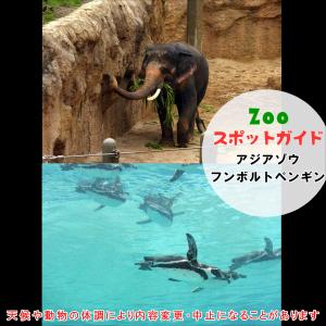 アジアゾウとフンボルトペンギン