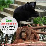 6月23日はツキノワグマとオランウータン