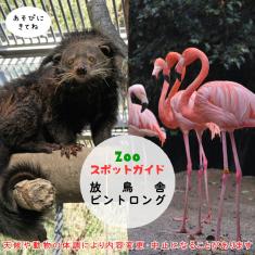 飼育員によるZOOスポットガイド。 当園に暮らす動物たちのお話を中心に、生態やエサについて担当飼育員が楽しくご紹介します。