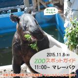 2015年11月8日(日)のスポットガイド