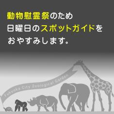 動物慰霊祭のためスポットガイドをお休みします