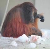 8月15日(土)「夜の動植物園」スポットガイド