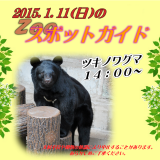2015年1月11日(日)のスポットガイド