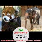 5月18日はレッサーパンダとアジアゾウ