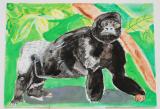 動物画コンクール入賞作品展示