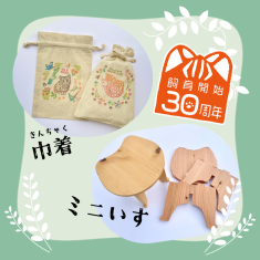 ミニいすor きんちゃく作って学ぼう！対馬の自然のサムネイル画像