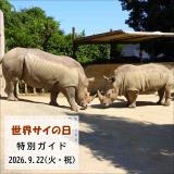 「世界サイの日」特別ガイドを開催します