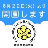 ６月22日（火）より開園します