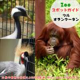6月22日はツルとオランウータン