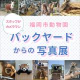 動物園スタッフ撮影『バックヤードからの写真展』開催