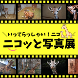 動物情報館ZooLab「＼いってらっしゃい！ニコ／ニコっと写真展」