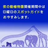 スポットガイドお休みのお知らせ