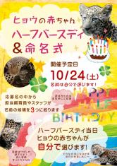 10月24日（土）はヒョウの赤ちゃんハーフバースデイ＆命名式ポスター
