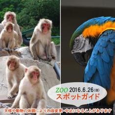 2016年6月26日(日)のスポットガイドは☆10：00～大型オウム舎 ※オウムインコデーにちなんだガイドになります。13：00～サル山