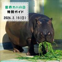「世界カバの日」特別ガイドを開催します