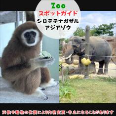 アジアゾウとフンボルトペンギン