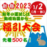 新年は動植物園でスタート！３年ぶりに「新春福引大会」を開催！
