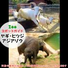 6月8日はヤギ・ヒツジとアジアゾウ