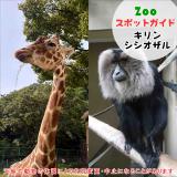 11月2日はキリンとシシオザル