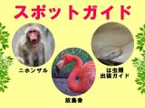 2014年5月6日(祝・火)のスポットガイド