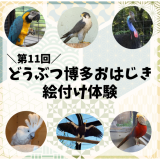 動物情報館ZooLab「第11回どうぶつ博多おはじき絵付け体験」