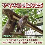 「ヤマネコ祭2025」を開催します