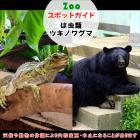 7月13日は、は虫類とツキノワグマ