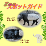 2014年11月9日(日)のスポットガイド