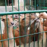 8月20日(土)「夜の動植物園」スポットガイド