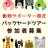 【参加者募集】5/25(日)、6/1(日) 動物サポーター限定「春のバックヤードツアー」開催（5/1締切）